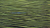 _A004156cr2oofm.jpg